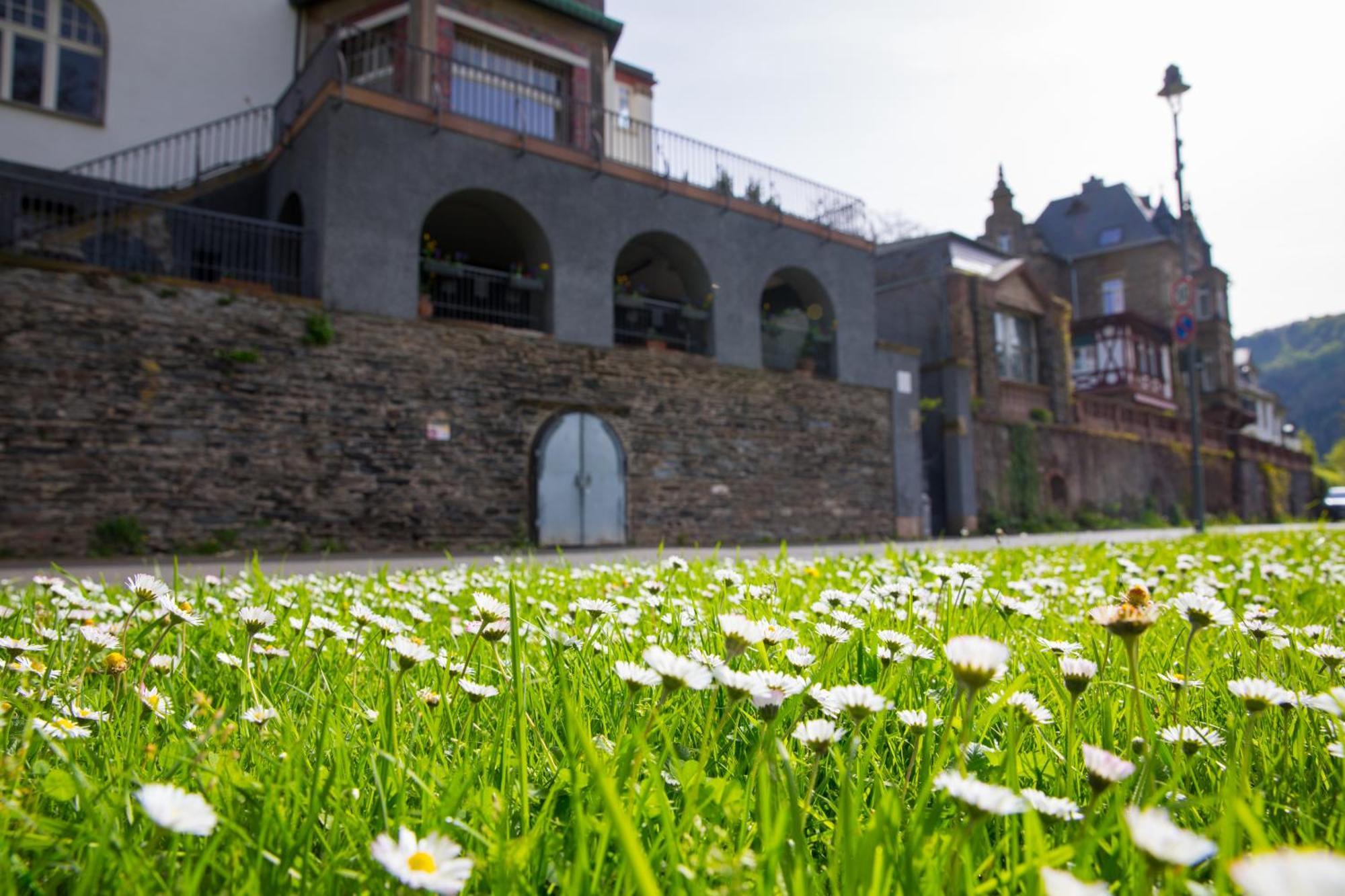 Neu - Moselauszeit Traben Apartment Exterior photo